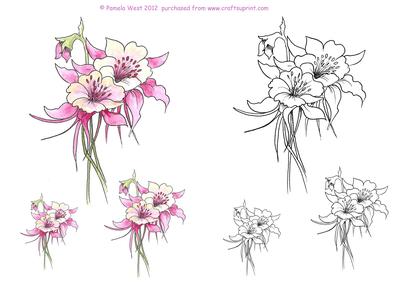 Aquilegia Digital Stamp and Watercoloured Stamp