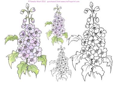 Delphinium Digital Stamps and Watercoloured Stamps