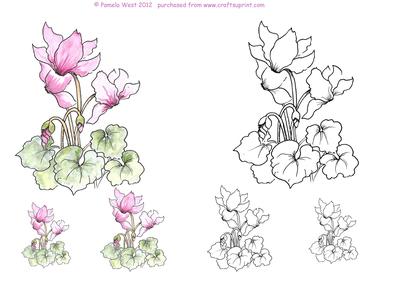 Cyclamen Digital Stamps and Watercoloured Stamps