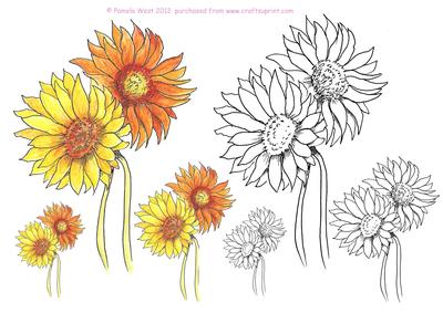 Gerbera Digital Stamps and Watercoloured Stamps
