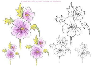 Hibiscus Digital Stamps and Watercoloured Stamps
