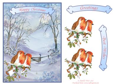 Christmas Robins Step by Step Decoupage with Sentiments