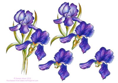 Watercolour Purple Irises Decoupage Sheet