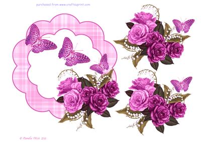 Pink Roses and Butterflies Frame