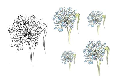 Digital Stamp Agapanthus with Coloured Version