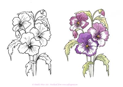 Digital Stamp Pansies with Coloured Version Too