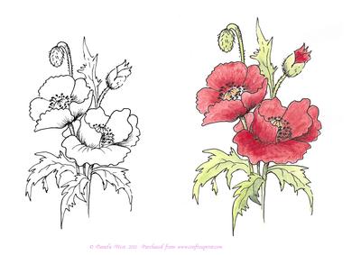 Digital Stamp Poppies with Coloured Version Too