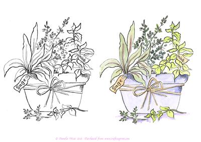 Digital Stamp Pot of Herbs with Coloured Version Too