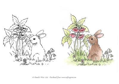 Digital Stamp Rabbit with Watercoloured Version Too