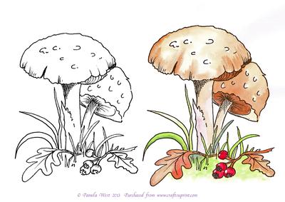 Mushrooms Digital Stamp with Watercoloured Version Too