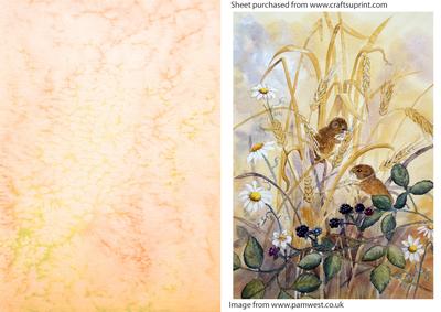 Dormouse and Blackberries Watercolour Topper and Background