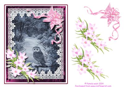 Owl in the Woods with Decoupage Sheet