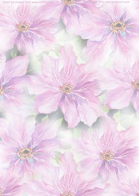 Clematis Watercolour Vellum