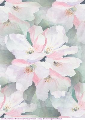 Apple Blossom2 Watercolour Vellum