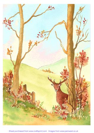 Original Watercolour Painting Deer in Autumn