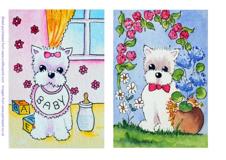 Original Watercolour Paintings Baby Westie Other Westie