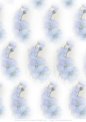 Watercolour Blue Campanula Vellum