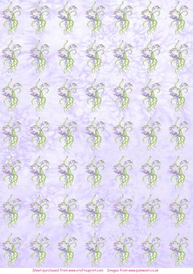 Bluebell Watercolour Vellum