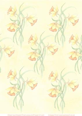 Daffodil Watercolur Vellum
