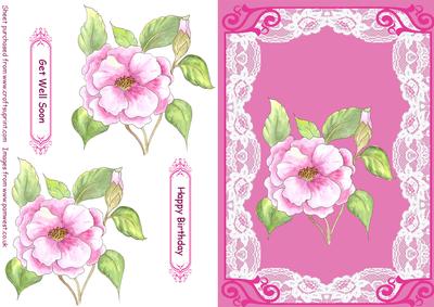 Camelia Watercolour Decoupage Card