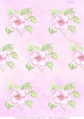 Camelia Watercolour Vellum
