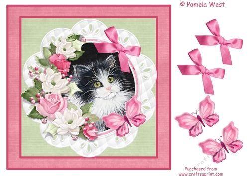 Black and White Kitten with floral frame and butterflies