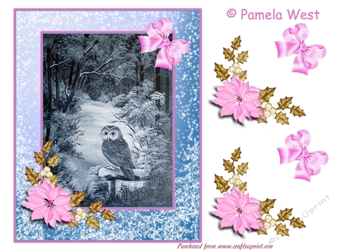 Owl Christmas card topper with White poinsettia
