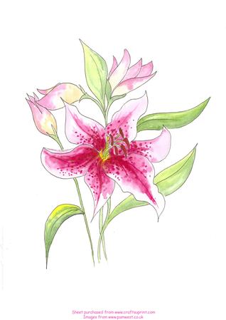 Watercolour Lily