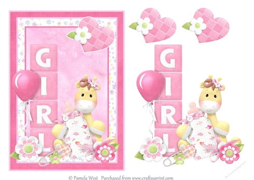 A5 New Baby Girl Girrafe card topper mini kit
