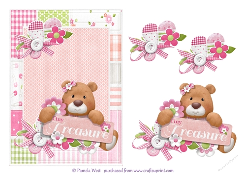 A5 New Baby Girl Bear card topper mini kit
