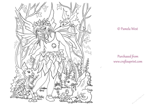 Fairy and dragons Digital Stamp. Colouring page, digistamp, coloring sheet
