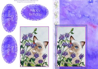 Cat and Cornflowers Quick Card