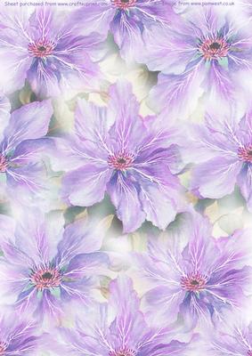 Purple Clematis Watercolour Vellum