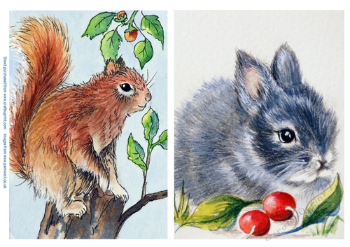 Red Squirrel and Grey Rabbit. 2 images for card toppers/ Designer resources
