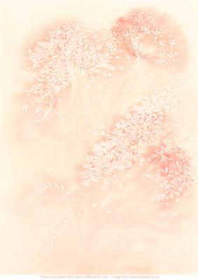 Pale Orane Meadowsweet Vellum