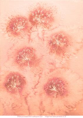 Pale Orange Dandelion Clock Vellum