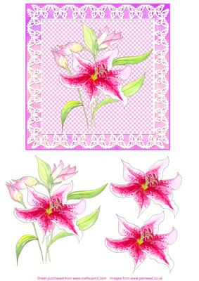 Step by Step Decoupage - Lilies on Gingham and Lace
