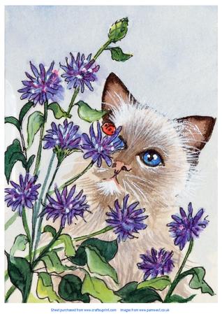 Original Watercolour of Cat and Cornflowers