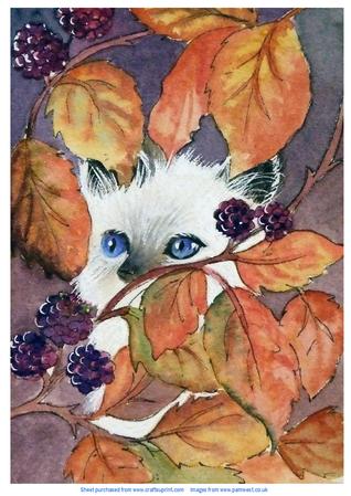 Cat and Blakcberries - Original Watercolour Painting