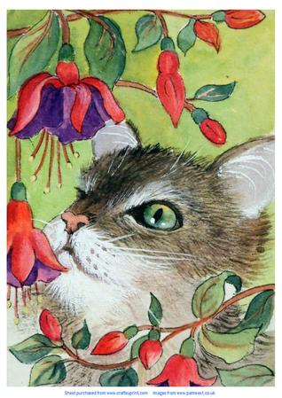 Cat and Fuschia - Original Art