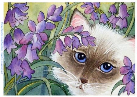 Cat and Bluebells - Original Art
