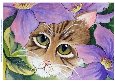 Cat and Clematis