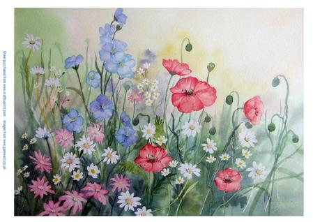 Meadow Flowers - Original Watercolour Painting