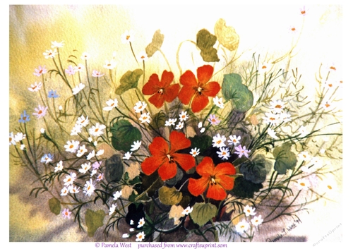 Nasturtiums and Dasies 2 An original watercolour. Card topper /designer resource