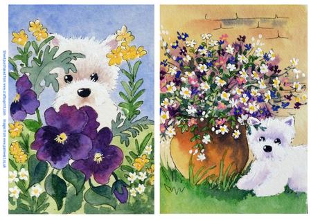 2 Westies and Flowers