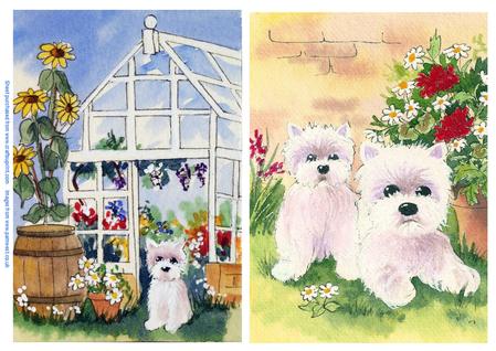 Westies in the Garden