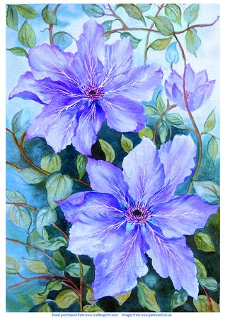 Blue Clematis