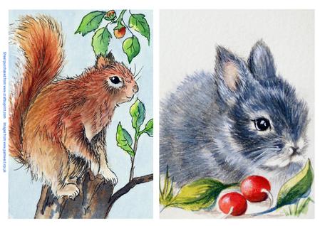 Red Squirrel and Grey Rabbit Watercolour Paintings