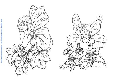 Butterfly Fairy and Flower Fairy Digi Stamps - CUP96482_117 | Craftsuprint