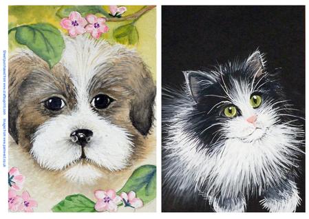 Original Paintings, Puppy and Black and White Cat